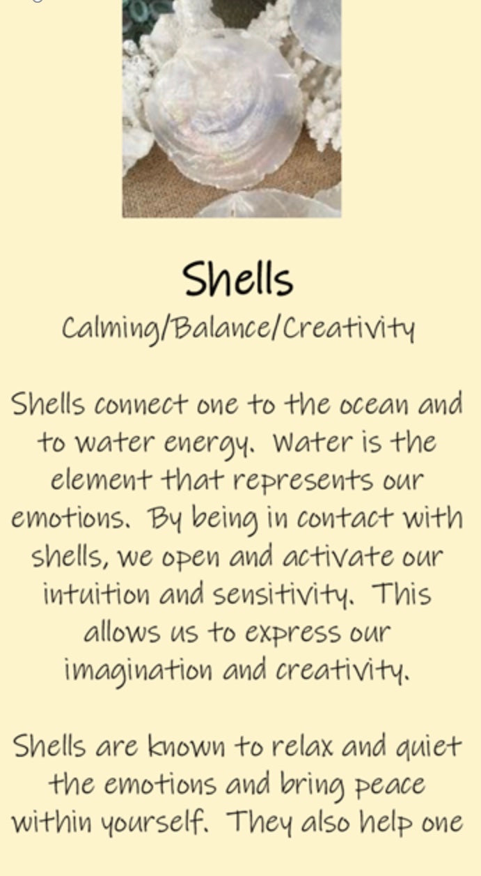 Shell and Agate Sterling Silver Necklace